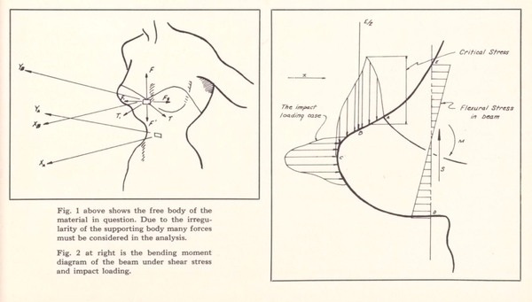 Science And The Strapless Evening Gown
